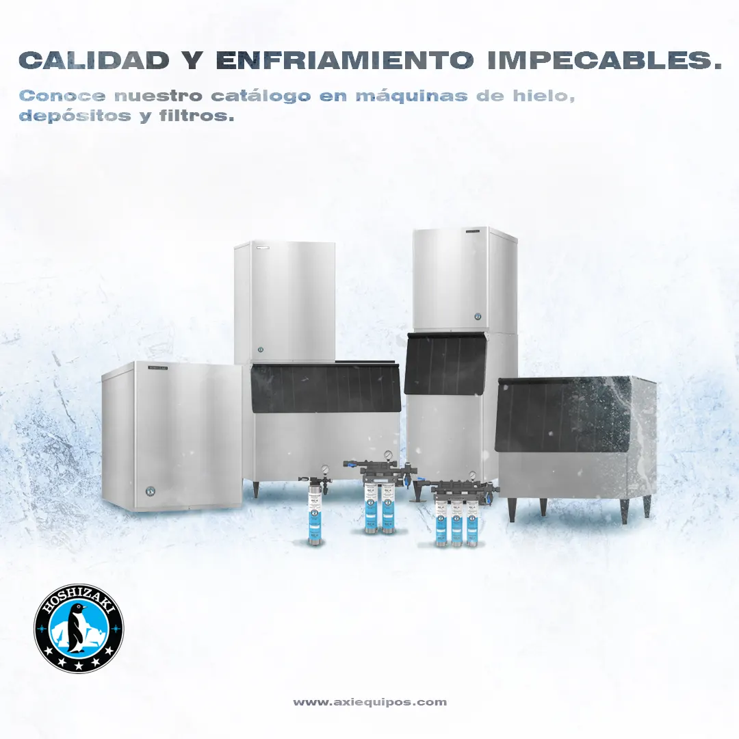 Máquinas de hielo, depósitos y filtros Hoshizaki.